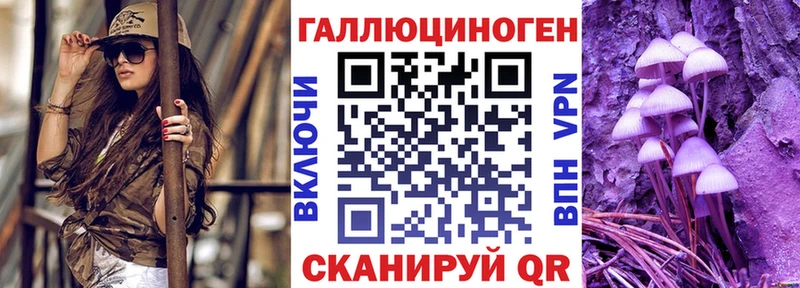 Псилоцибиновые грибы Psilocybe  Купить где  Реутов 